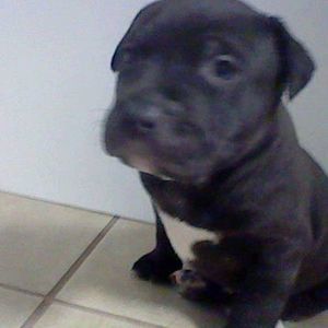 Meet your Posher, Brendan